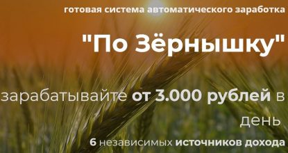 По Зёрнышку — система автоматического заработка от 3000 рублей в день