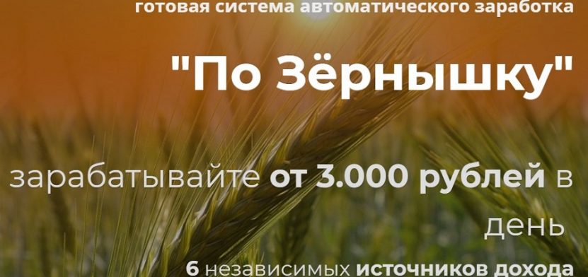 По Зёрнышку — система автоматического заработка от 3000 рублей в день