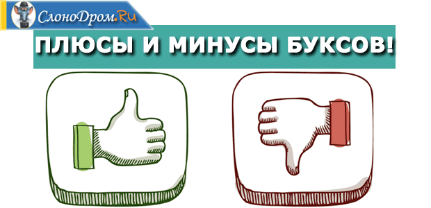 Плюсы и минусы заработка на буксах 